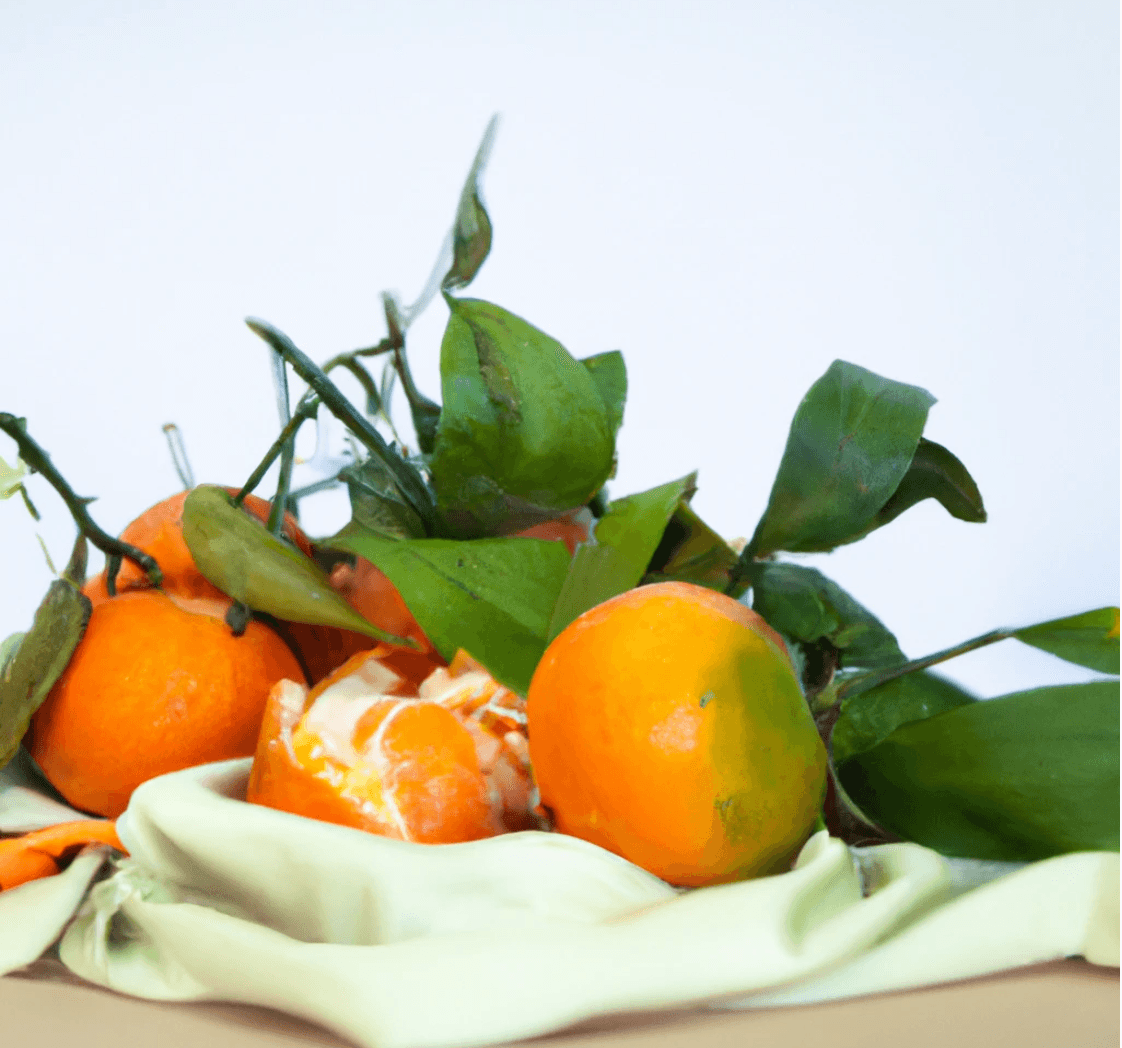 The Remarkable Story of Orange Fabric: Sustainable Fashion with a Zesty Twist